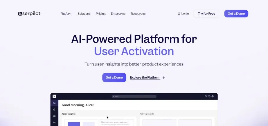 SaaS Onboarding Tools - userpiolet